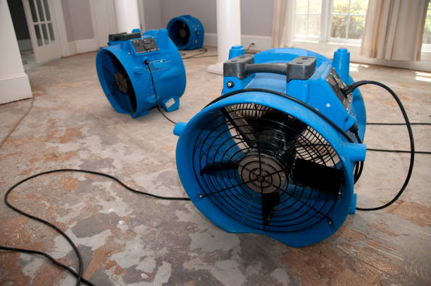 Best 24/7 water damage repair  in East Niles, CA